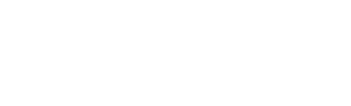 bi-primary-logo